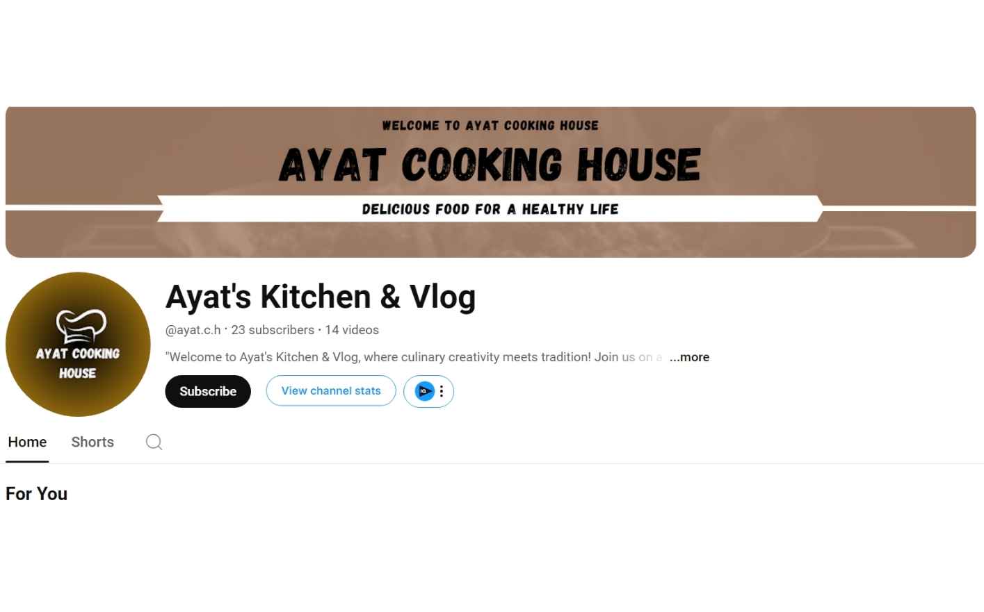 Portfolio youtube channel optimization for growth